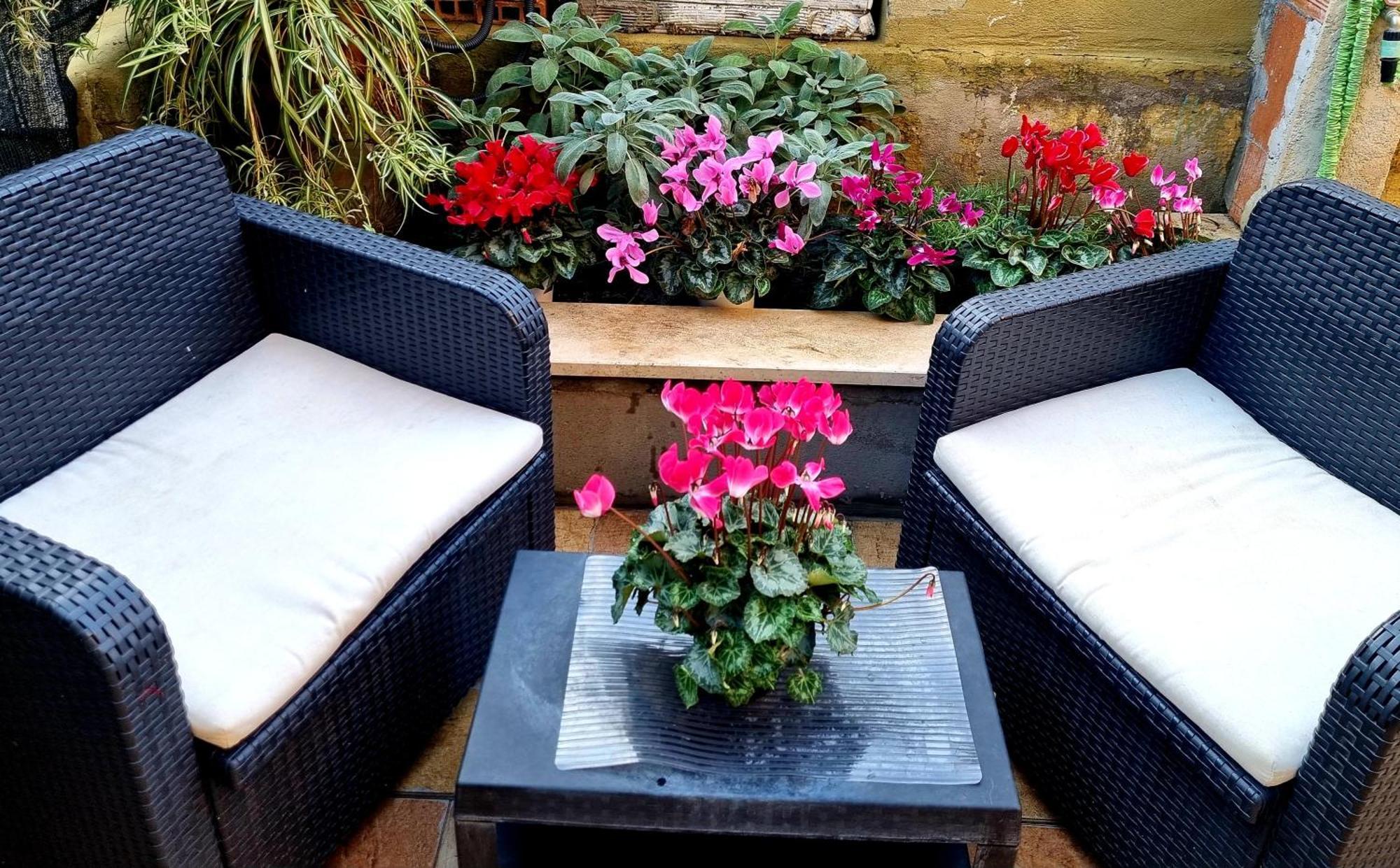 Cmhouselove Alessandrino Vicino Metro C Apartment Rom